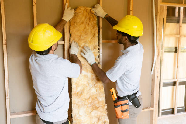 Best Cellulose Insulation  in Elmsford, NY